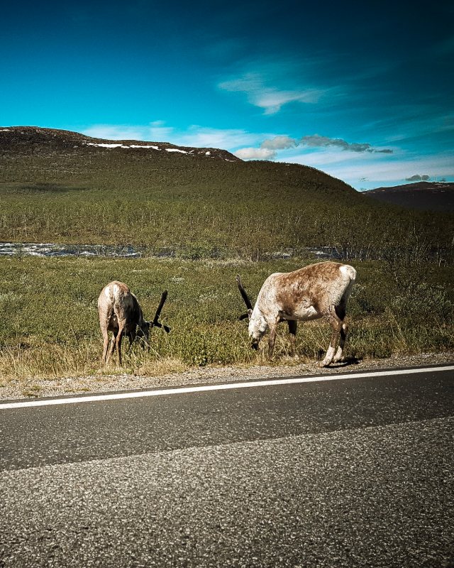 Photo from Kilpisjärvi, Finland, shared by Rather Be In Finland: Our first trip to Kilpisjärvi